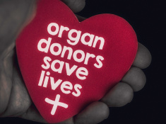 Stock-photo-74277025-reminder-of-importance-of-organ-donation-organ-donors-save-lives